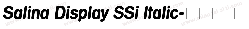 Salina Display SSi Italic字体转换